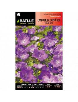 Semillas de Campanula...