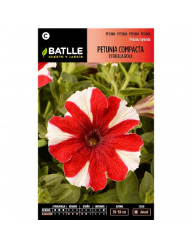 Llavors de Petunia Compacta...