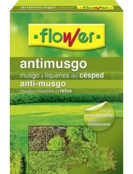 Antimusgo