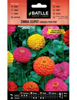 Llavors de Zinnia Liliput...