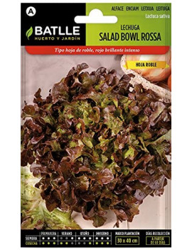 Semillas de Lechuga Salad Bowl Roja (Hoja de Roble)